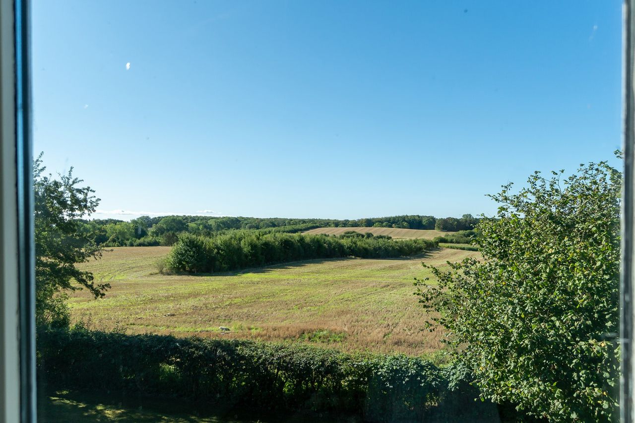 image 03