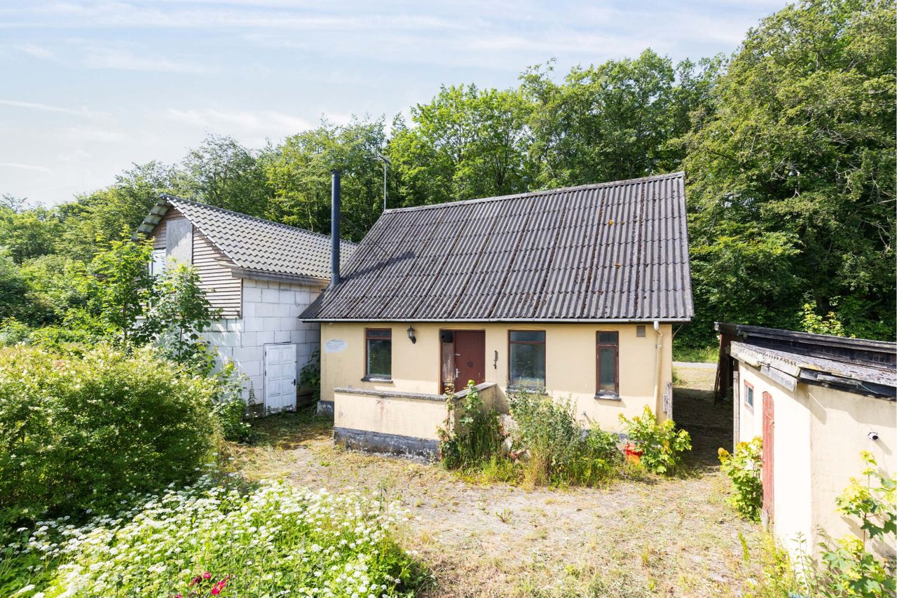 image 02