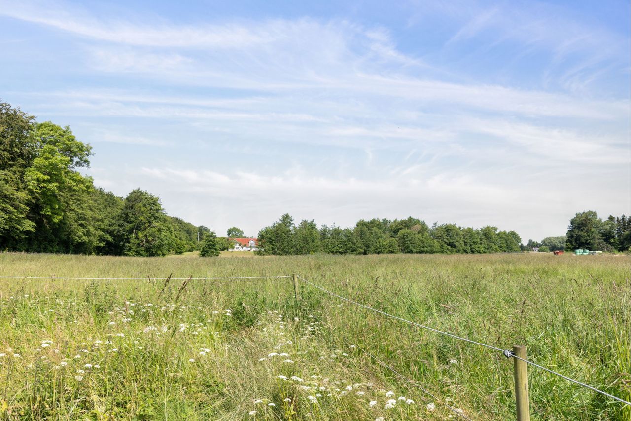 image 03