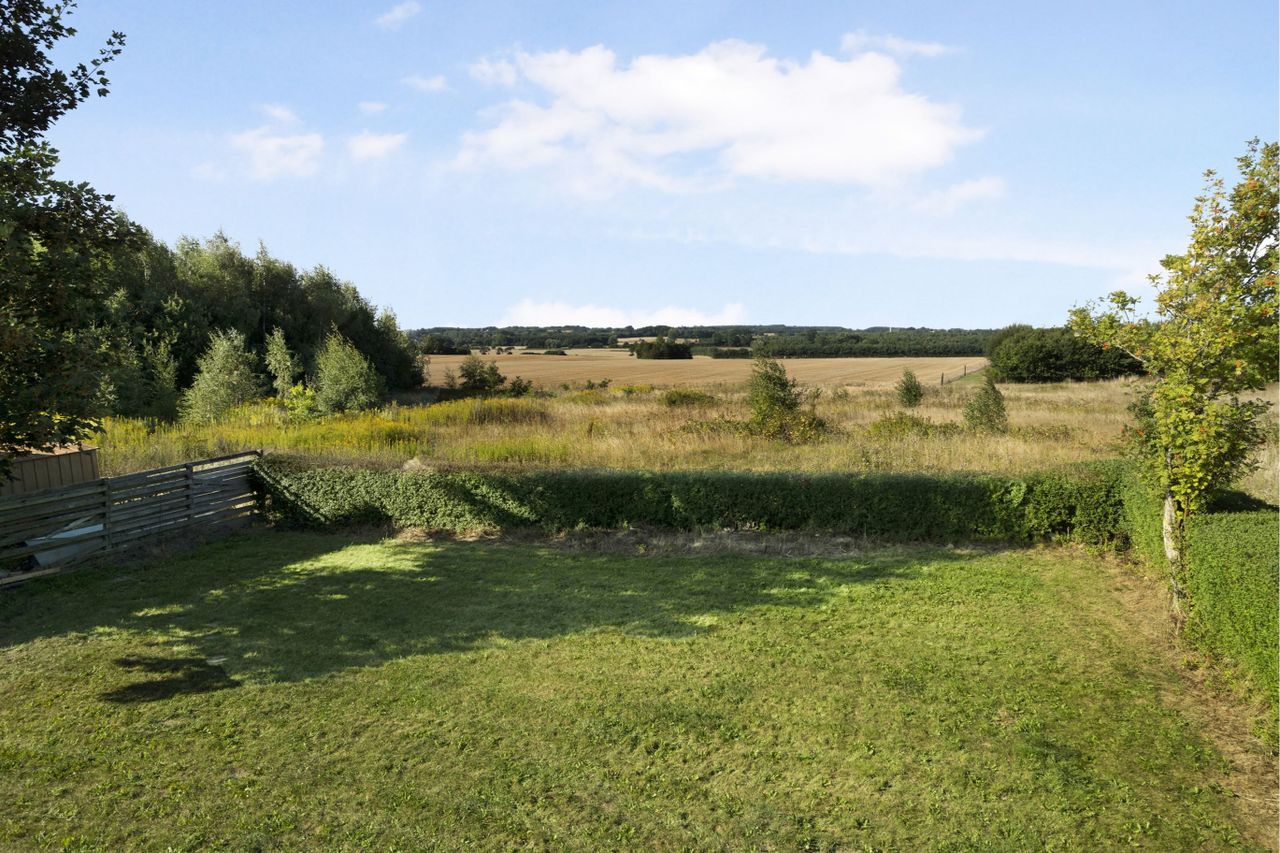 image 02